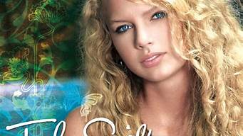 Taylor Swift style_taylor swif