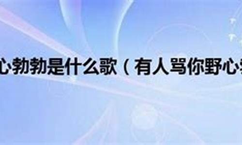 有人骂你野心勃勃是什么歌_有人骂你野心勃