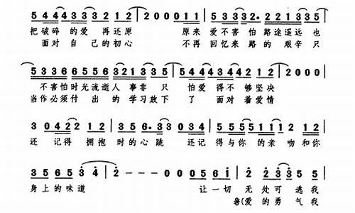 爱的勇气歌词_爱的勇气歌词含义