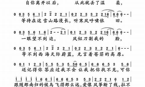 刀郎西海情歌歌词全部_刀郎西海情歌原唱歌词